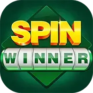 Image for SPIN WINNER 